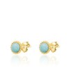 Boucles d'oreilles puces ALOHA - Amazonite - AGATHA